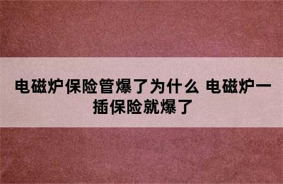 电磁炉保险管爆了为什么 电磁炉一插保险就爆了